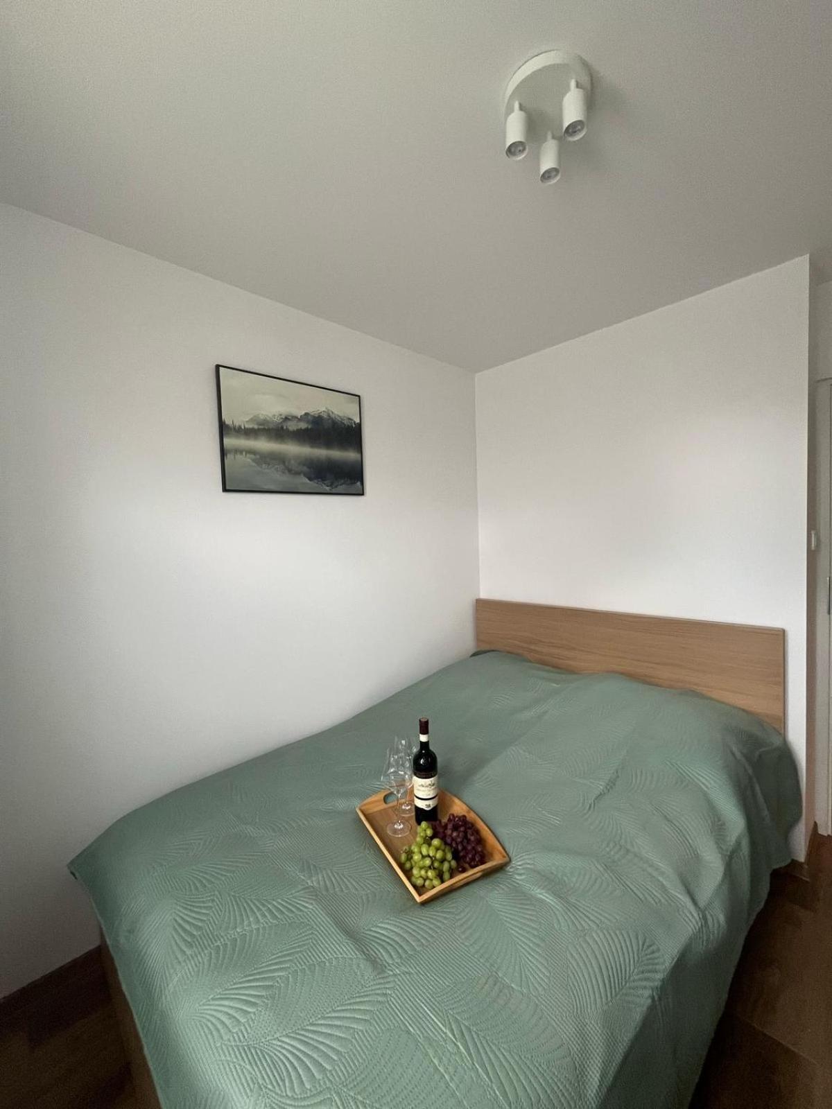 Dworska Apartment *